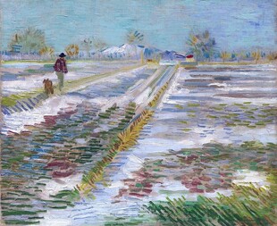 雨后郊野风景油画