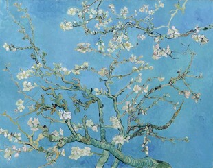 梵高杏花油画