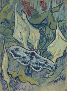 蓝蛾与植物油画