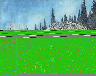 郊野绿地自然风景