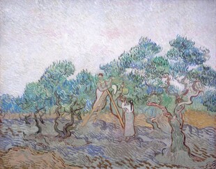 郊野树木风景水彩画