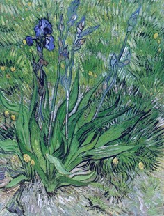 梵高风鸢尾花油画