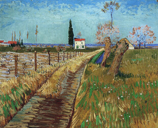 郊野田园风景油画