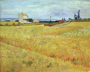 郊野麦田风景油画