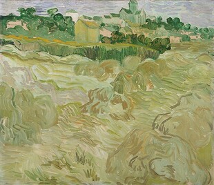 梵高田野风景油画