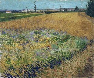 郊野田园风景油画