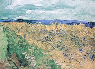 郊外麦田风景油画