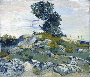 郊野山石风景油画
