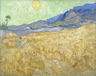 阳光下的麦田风景油画