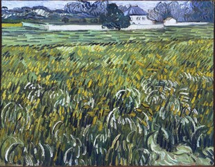 郊野麦田风景油画