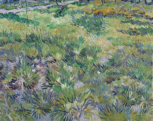 印象派郊野草地油画