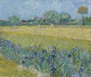 郊野鸢尾田园风景油画