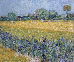 郊野鸢尾田园风景油画