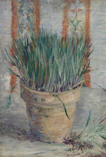 窗边盆栽芦荟静物画