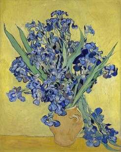 梵高鸢尾花静物油画