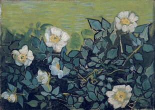 白色蔷薇花卉油画