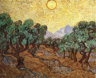 阳光下橄榄林风景油画
