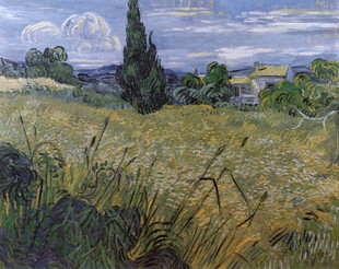 郊野麦田风景油画