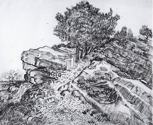 素描山石老树风景