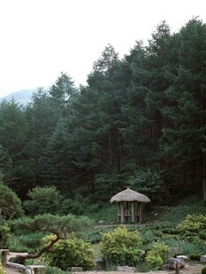 山林间的茅草小屋