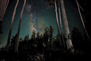 林间极光夜景