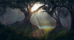 林间晨光朦胧美景