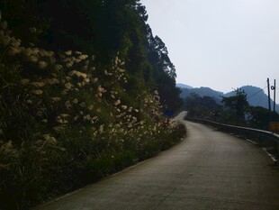 郊野山间公路风光
