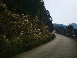 乡村山间公路沿途风光