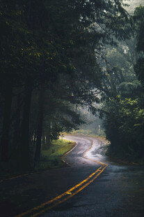 道路