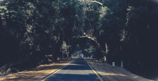 公路