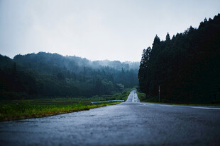 道路