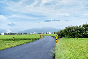道路