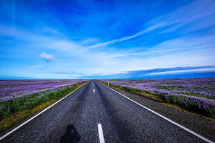 公路