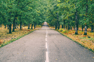 公路景观