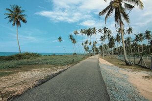 公路景观