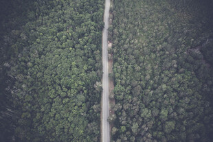 公路