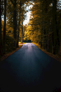 公路