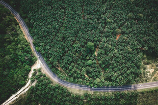 公路景观