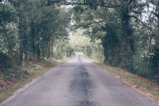 公路景观