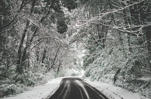 道路