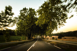 公路景观