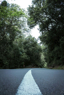 道路