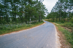 道路