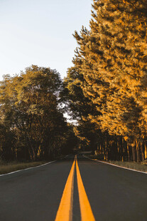 公路景观