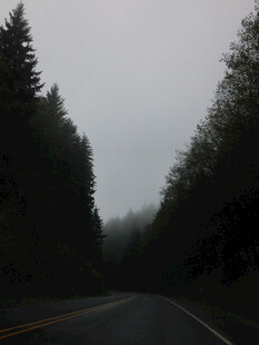 道路