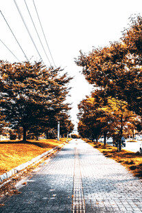 公路景观