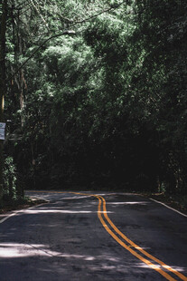 公路景观
