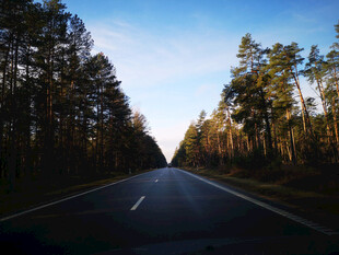 道路