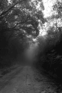 公路