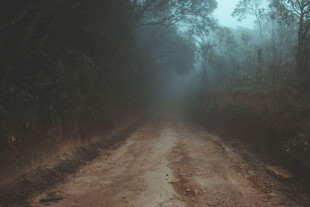公路景观